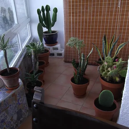 Teneriffa Ferienwohnung *